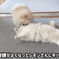 怒られたポテチくん3