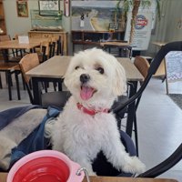 ニコニコ