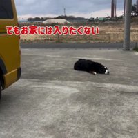 「もっと車に乗りたい！」