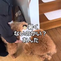 「暑くない？」と気遣ってくれました