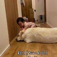 踏まないように…