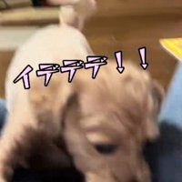 5分後に突然攻撃態勢に！！