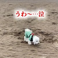 遊び方はいつでも豪快！！