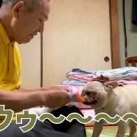 オムツで遊び始める2人