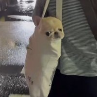 思わず二度見してしまう！？