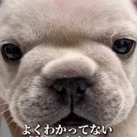 「何かされた？」
