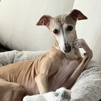 想像が膨らみます