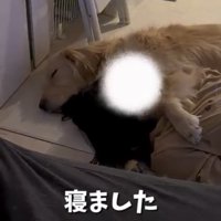 友人に寄り添いながら目を閉じる麹くん