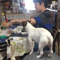 何かに乗ってる？