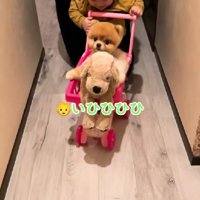 ちょっちゃんもお手伝い♪