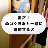 雷が鳴り始めると…