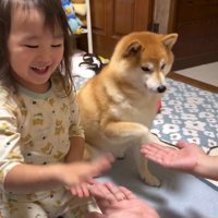 手を上げるすずちゃん