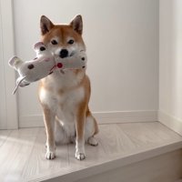 いい子で待機