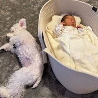 隣でお昼寝