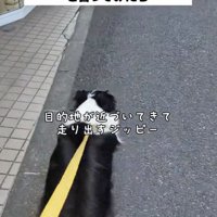 「もうすぐ！！」