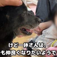 それでも仲良くなりたい