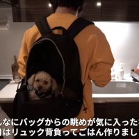 おんぶされるモコちゃん