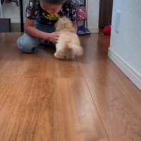 8時間ぶりの再会に…