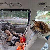 車内でも子守りで忙しい…！