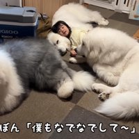 いっぱい集まってきた！！