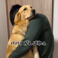 男性に抱っこされて、静かに遠くを見つめる大型犬