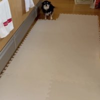 ここから先は、入ってはいけない場所