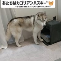 「どうしたら入れるんだろう」