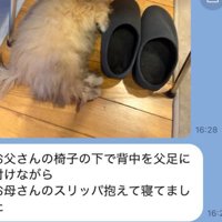 写されていたのは…