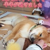 半年が経過したけど…