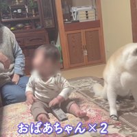 おばあちゃんが2人！？