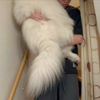 抱っこ
