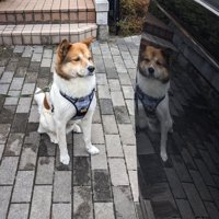 イケメン