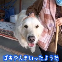 嬉しそうにニコニコ♪