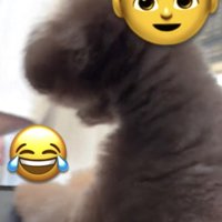 悲痛な声でアピール