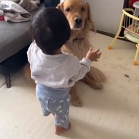 被り物をするピノくん