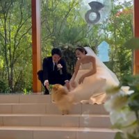 指輪を届けたチャックくん