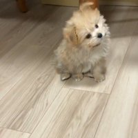 反対側にも…♪