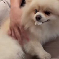 使用済みティッシュをパクリ