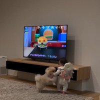 遊びたいコタローくん