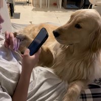 「スマホばっかり見ないで！」
