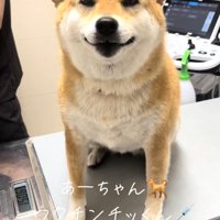 注射が終わったあーちゃん