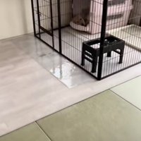 お出迎えは…？