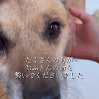 おふとん君の変化7