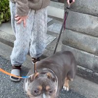 嬉しそうな小太郎ちゃん