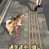 「！！」