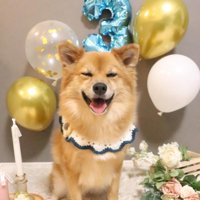 とっても可愛いらんちゃん
