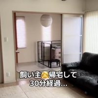 時間がたったけれど…