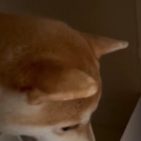 「ここ落ち着くんだ…」