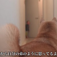 「ゆっくりで大丈夫だよ」