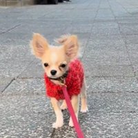 チャームポイントは見せたいね♪